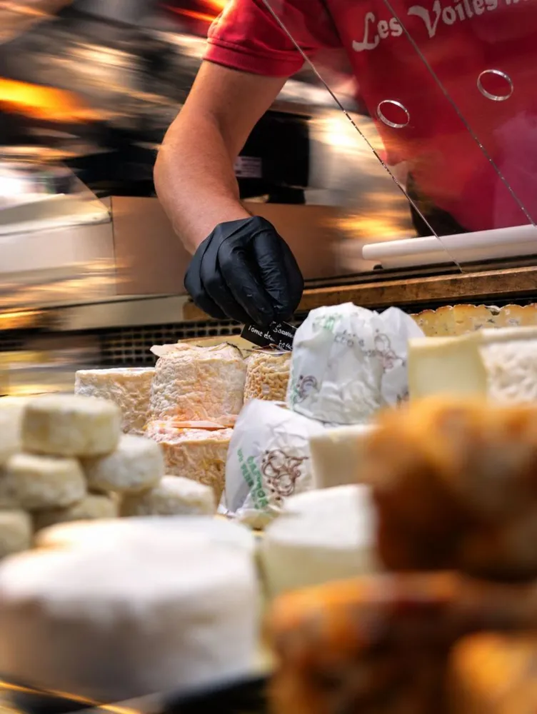 Sélection de fromages de chèvre sur l'étal